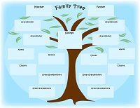 South Carolina Intestate Succession